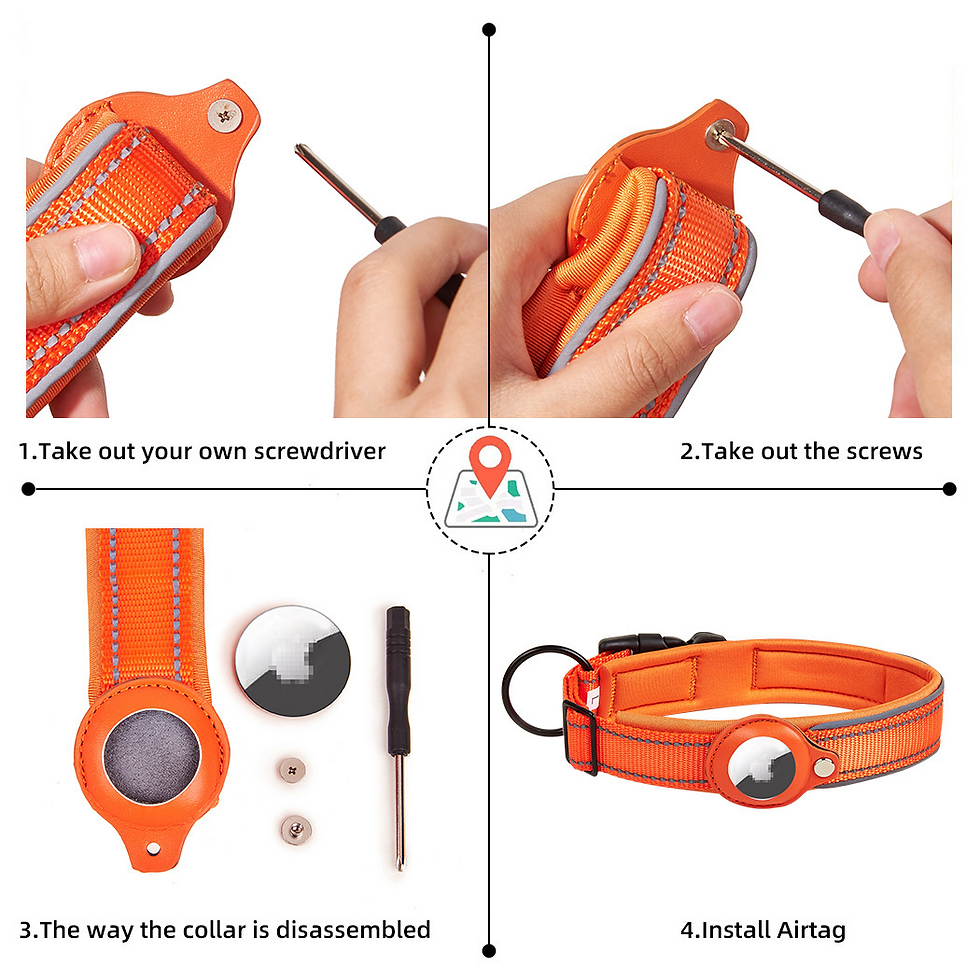 Thumbnail: Leather Dog Collar AirTag