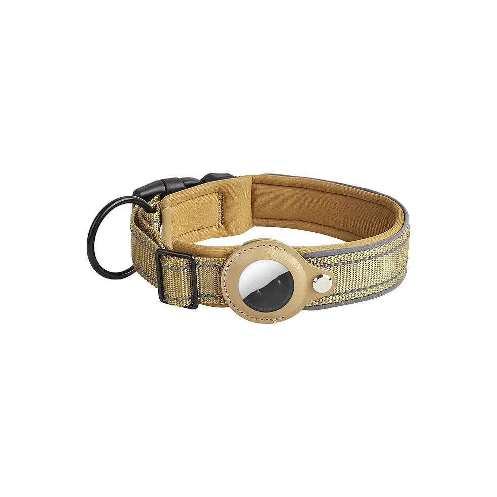 Thumbnail: Leather Dog Collar AirTag