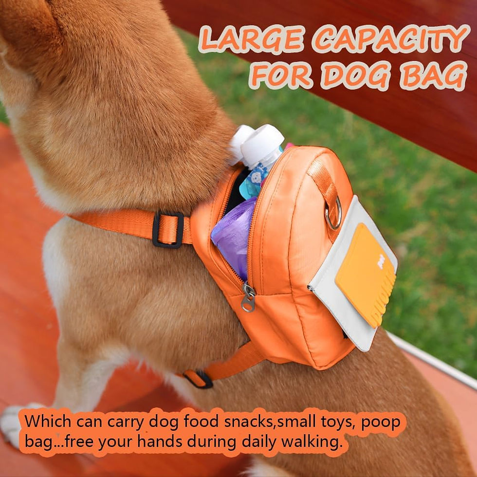 Thumbnail: Dog Backpack Harness with Leash