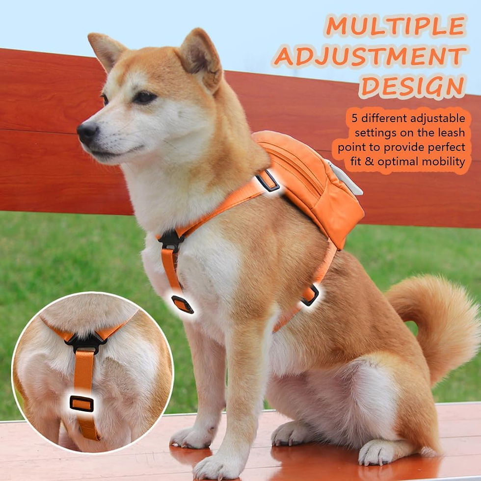 Thumbnail: Dog Backpack Harness with Leash