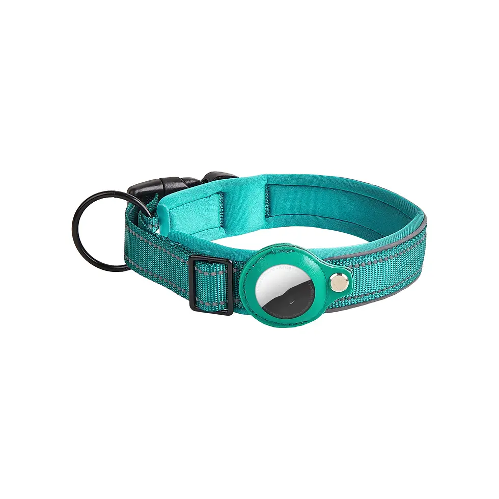 Thumbnail: Leather Dog Collar AirTag