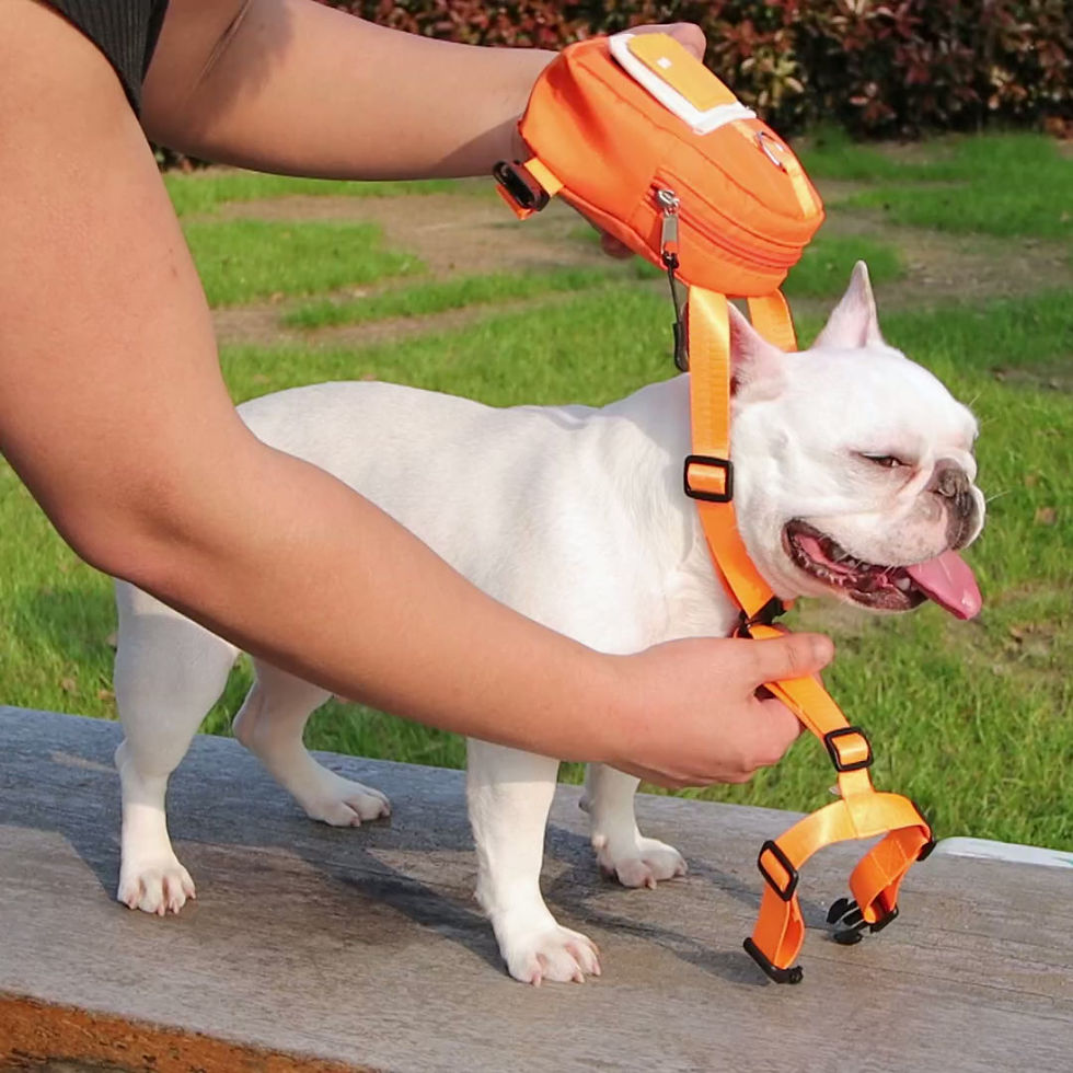 Thumbnail: Dog Backpack Harness with Leash