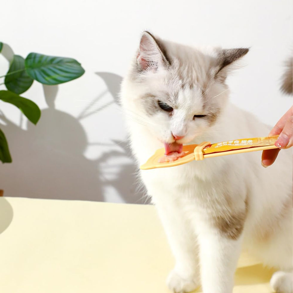 Thumbnail: 3-Piece Cat Treat Feeder & Squeeze Spoon Set