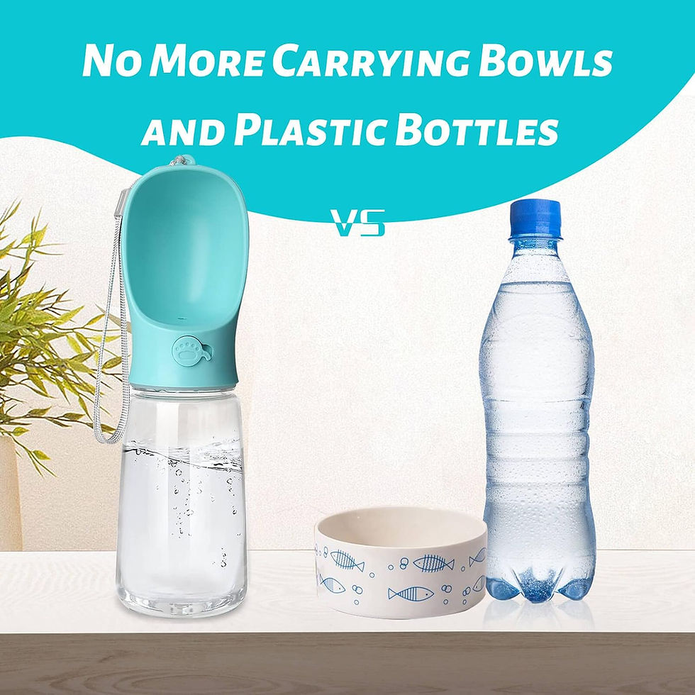 Thumbnail: Portable Pet Water Bottle — Keep Your Dog Hydrated Anywhere