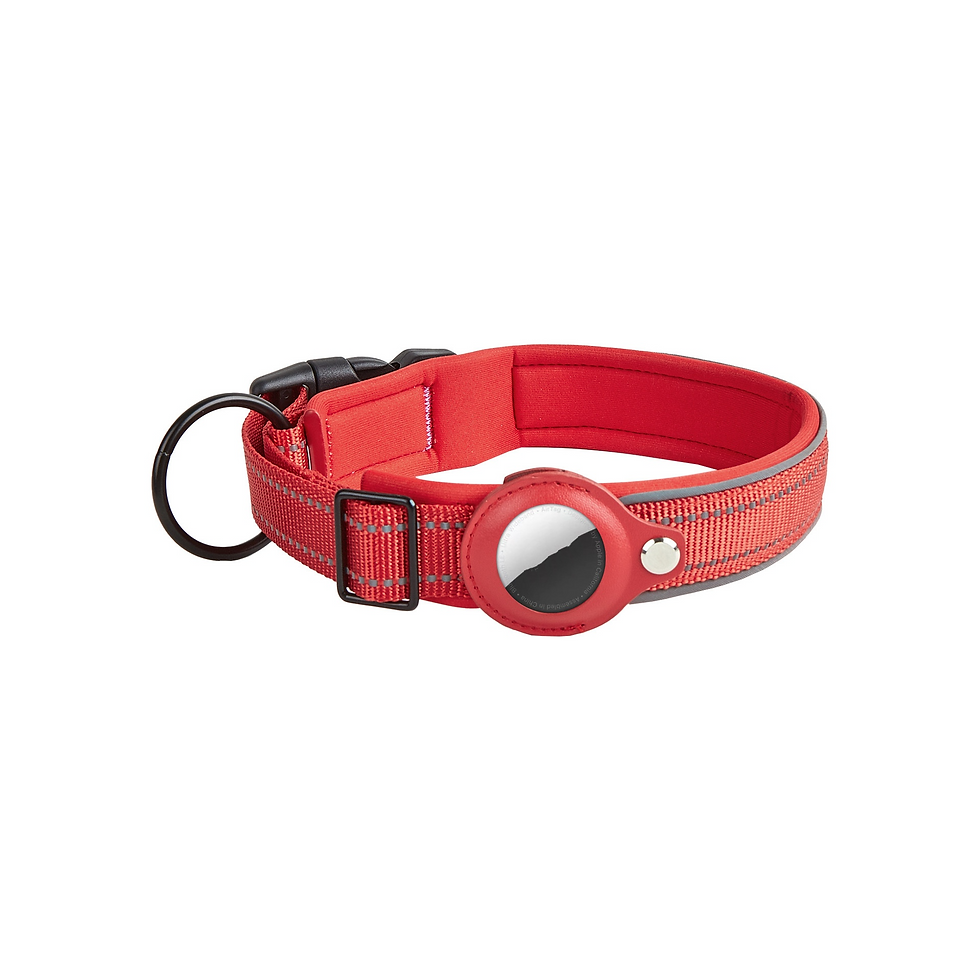 Thumbnail: Leather Dog Collar AirTag