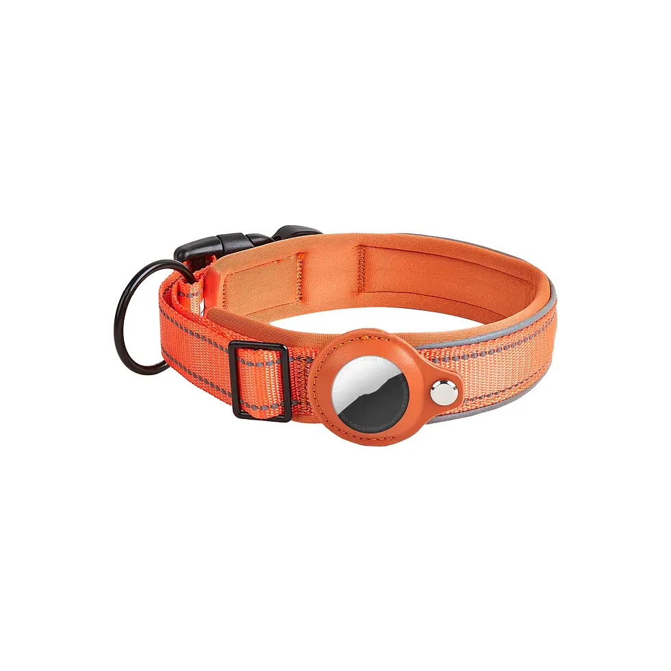 Thumbnail: Leather Dog Collar AirTag