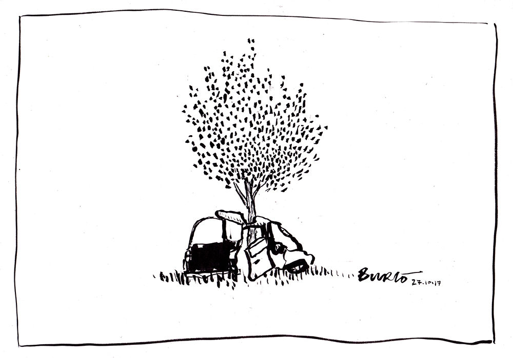 Sebasitan Tanti Burló | Daphne’s Laurel