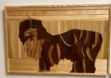 Nelly Simulation (19x28)