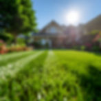 Firefly_Generate a realistic and elegant image of a perfectly maintained residential lawn.