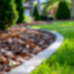 Firefly_-Generate a high-quality image of a beautifully landscaped residential yard showca