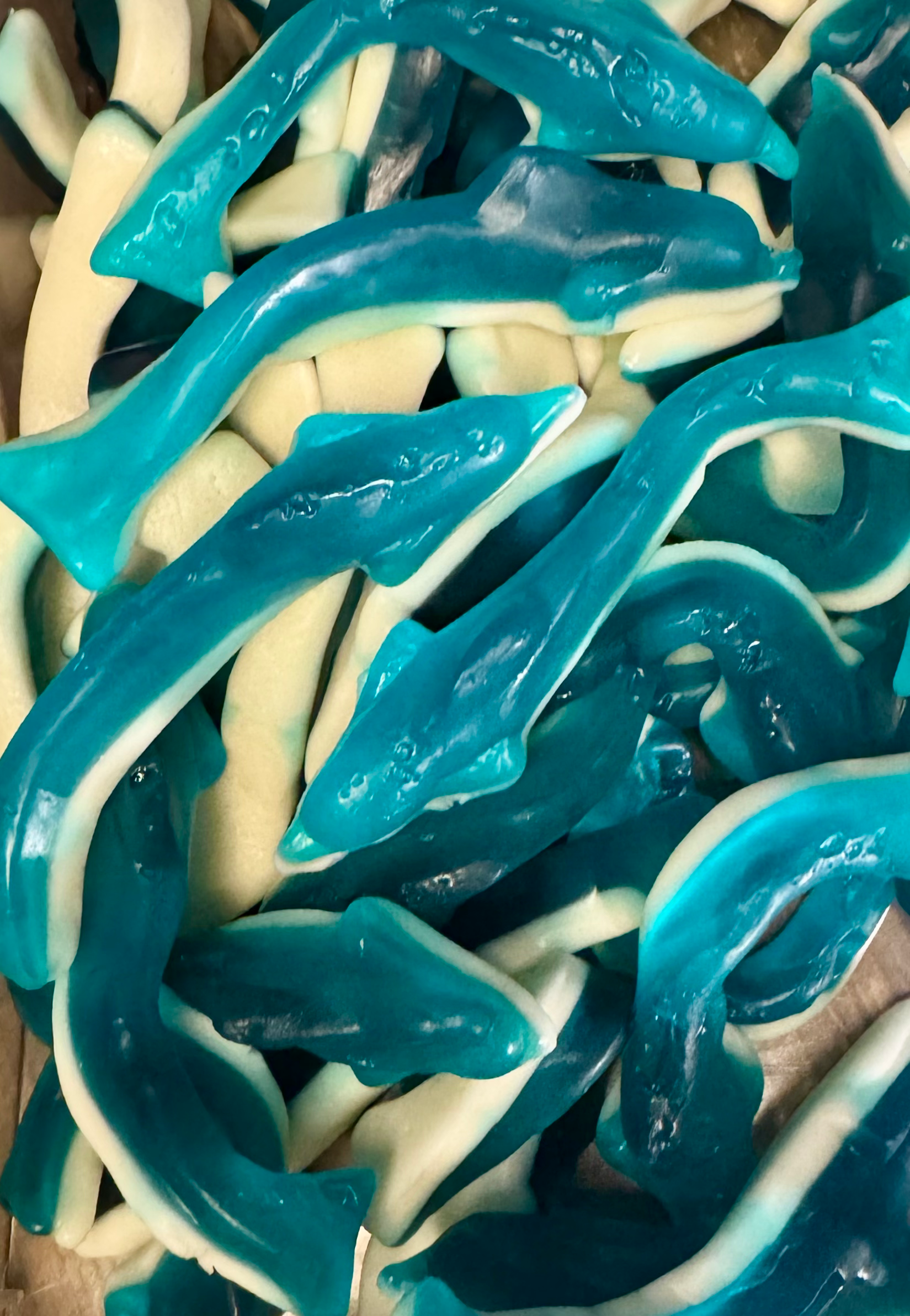 Dauphins Lisses (100g)