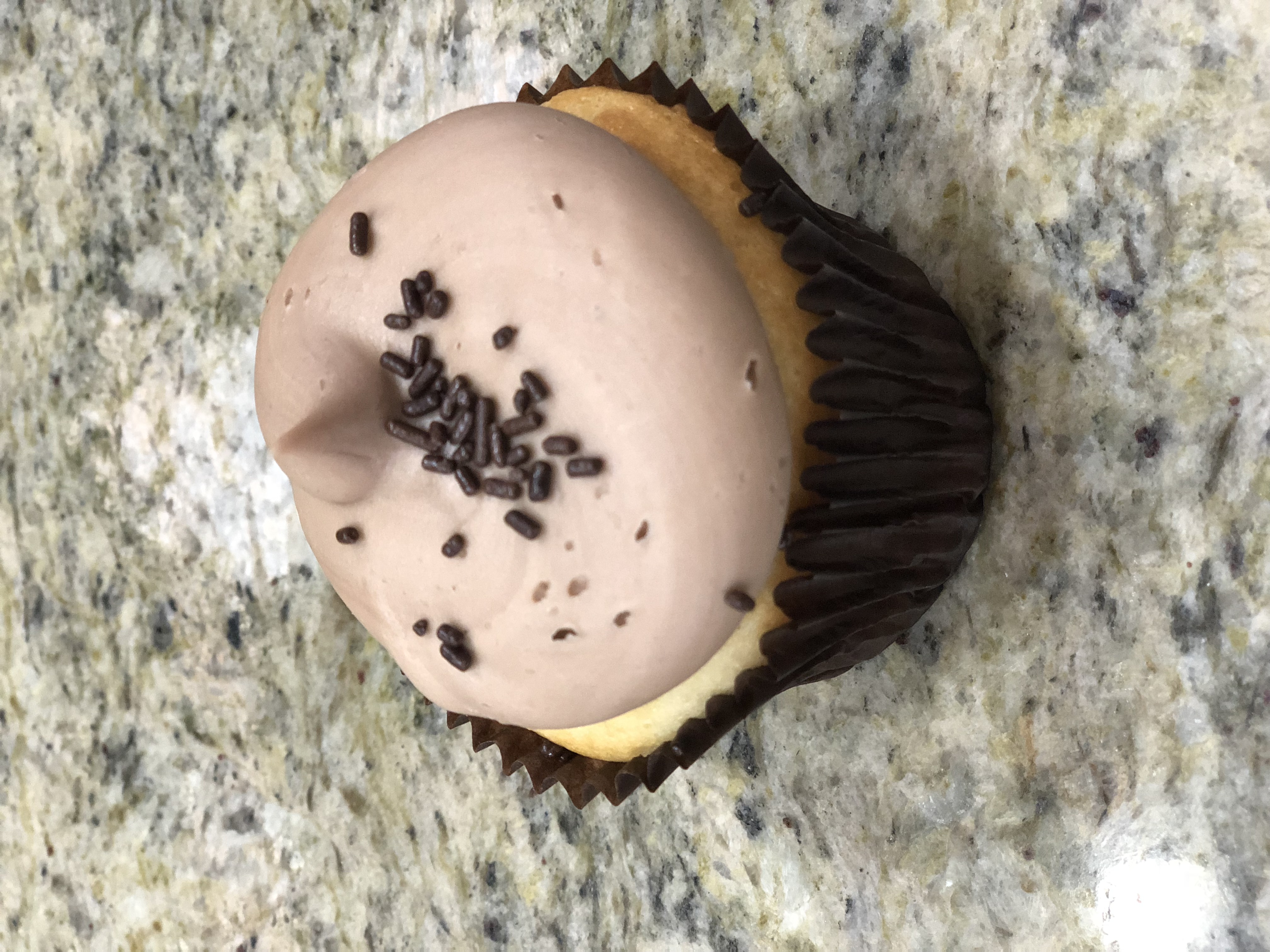 Vanilla N Chocolate