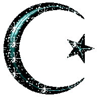 moon47.gif
