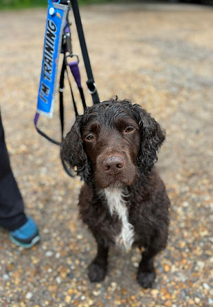 WhatsApp Image 2024-10-02 at 15.03.35 (2).jpeg