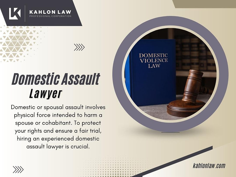 Domestic Assault Lawyer