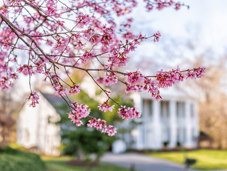4 Ways To Make an Offer That Stands Out This Spring