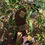 Thumbnail: Tasha Square Sandals
