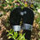 Thumbnail: Tasha Square Sandals