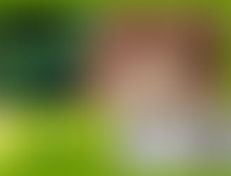 Mon Soin du Visage de Novembre-Décembre