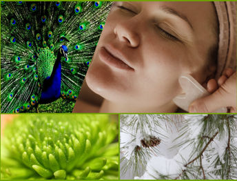 Mon Soin du Visage de Novembre-Décembre