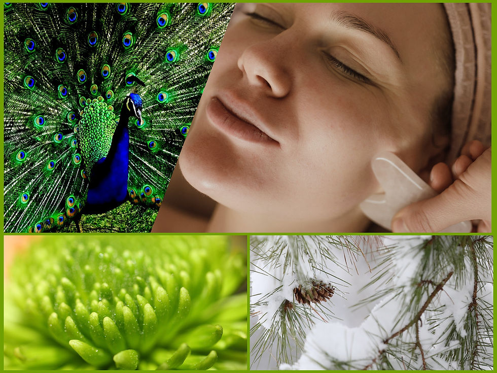 Mon Soin du Visage de Novembre-Décembre