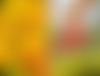 Du nouveau pour l'Automne