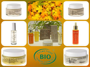 Mes cosmétiques de l'Automne