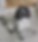 Screenshot 2019-07-16 at 19.25.03.png