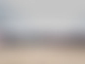 Mad About Schnauzer Walks UK-Barry Island 28/04/19