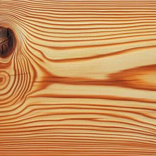 Japanese Cedar - Knotty Timber is Spotty timber 