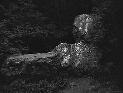 Britani Mattson - Rest Here.JPG
