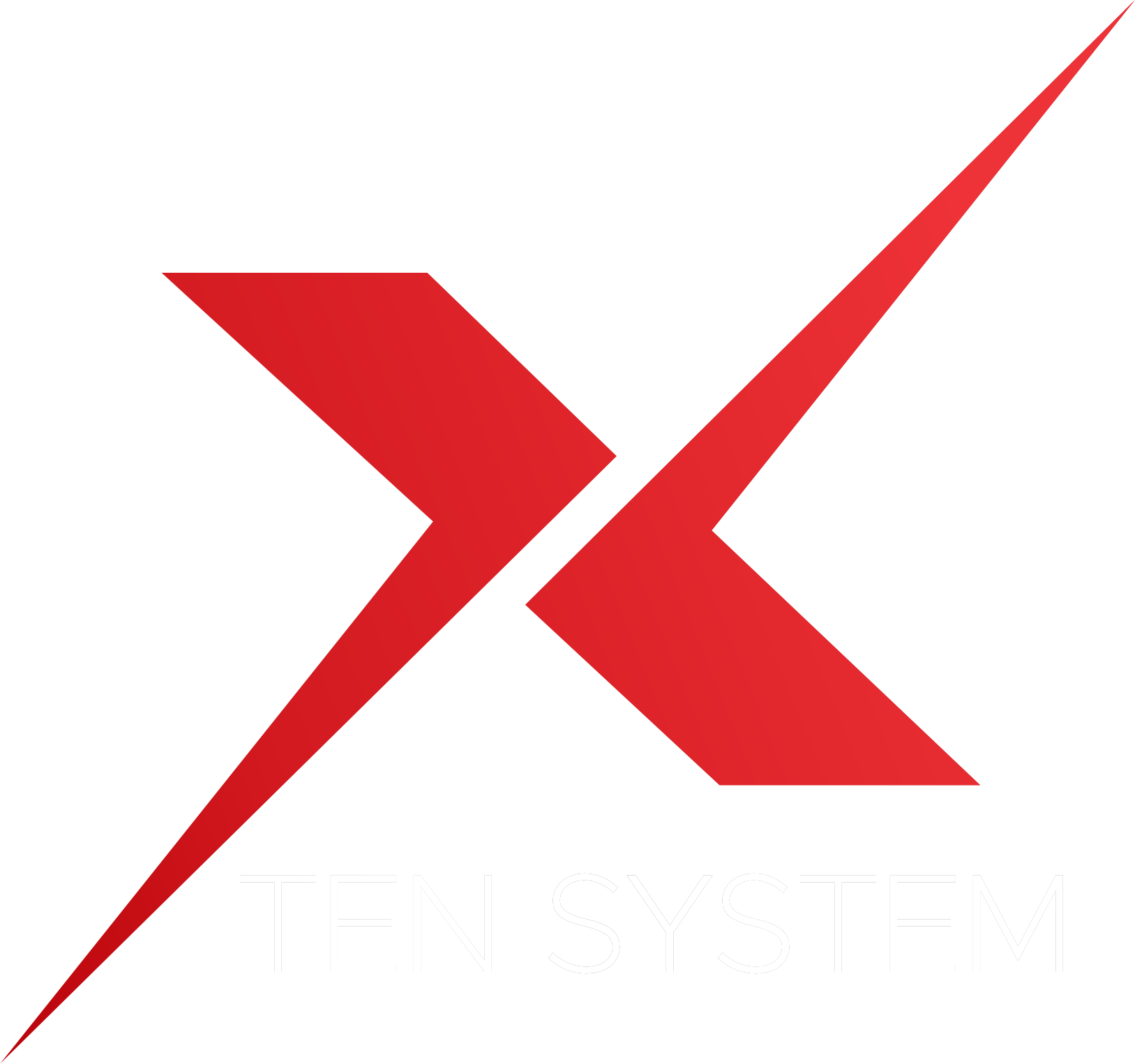 Logo_White_X-TEN System.png