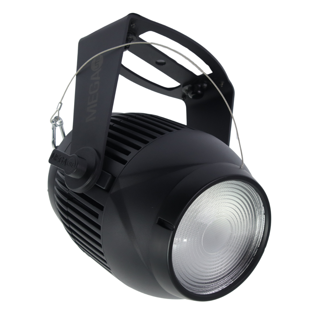 Pegasus_Angle w_Fresnel Filter (1).png