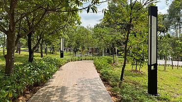IMG_3762.JPG