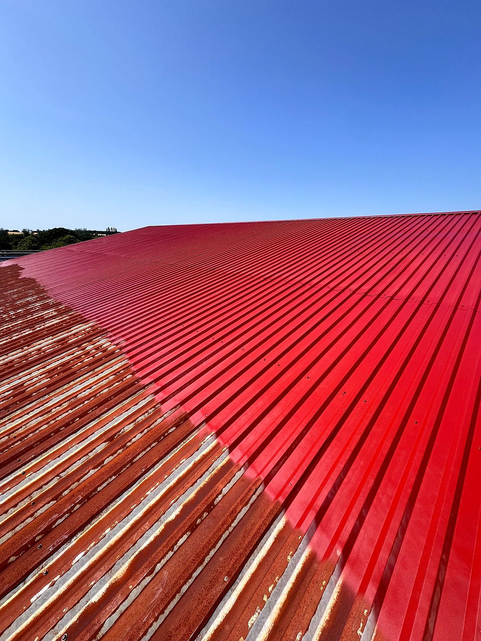 Roof Painting and repair in Cambridge