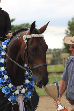 11046447_10153204402523281_4678499091617772605_o