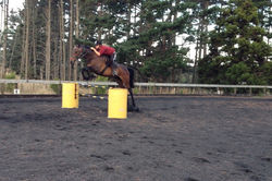 1624529_10152319692196042_1805745172_n