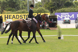 946272_10151685200466042_912741370_n