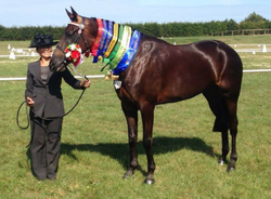 Screenshot_2015-07-23-13-21-32