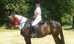 10620654_10206278990079344_8048225610296296579_n