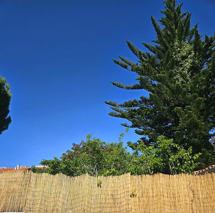 Garden.jpg