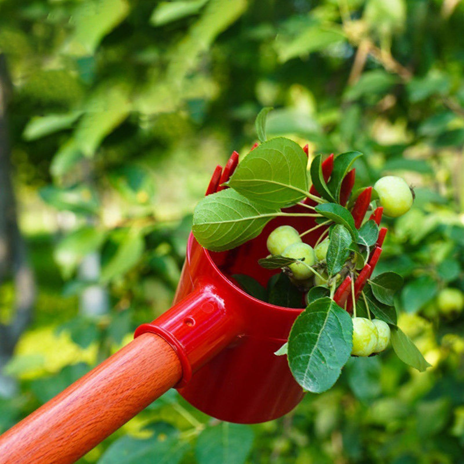 Portable Fruit Picker Easy to Use Practical Picking Device for Farm Park Efficie