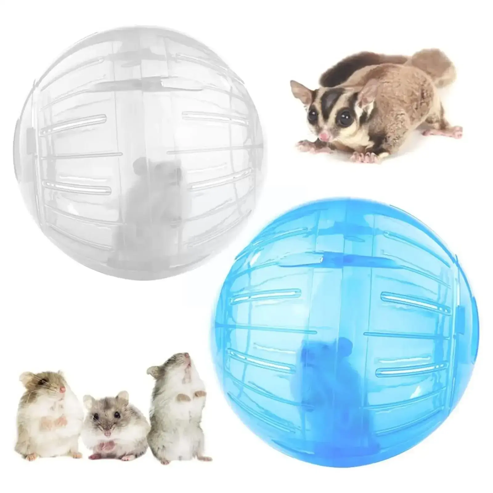 Outdoor Sport Ball Grounder Rat Small Pet Rodent Mice Ball Balls Rat 10cm Exerci