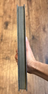 Thumbnail: Book of the Dead Journal