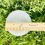 Thumbnail: Selenite Round Bowl (large)