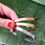 Thumbnail: PERSONALISED CUFF