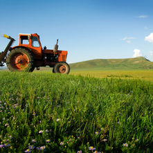 תמונת שוק 17.12.23