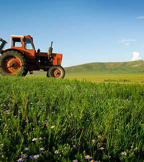Tractor On Grassland