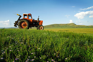 Tractor On Grassland