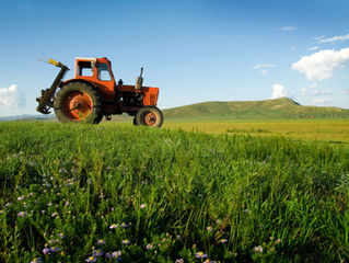 Buying a Smallholding in France